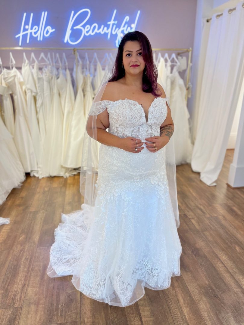 essense of australia fitted plus size gown d3374